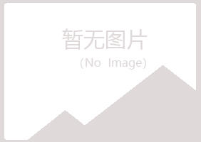 河池忆翠工程有限公司